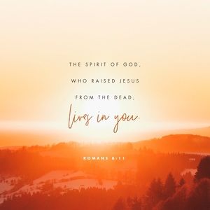 Meet your Posher, Marcus